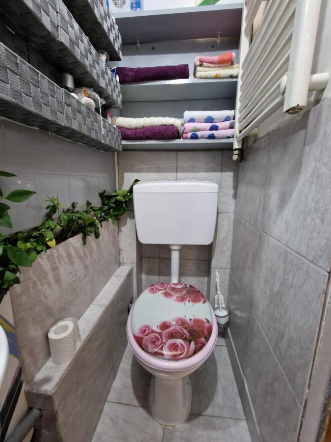Apartament Ultracentral 2 Piata Muzeului Kluž Exteriér fotografie