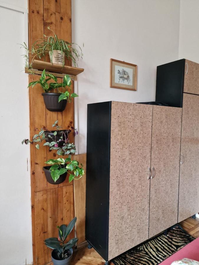 Apartament Ultracentral 2 Piata Muzeului Kluž Exteriér fotografie